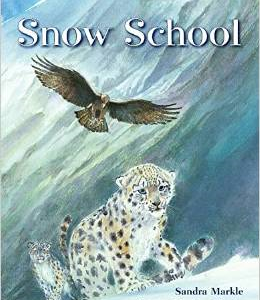 Snow School