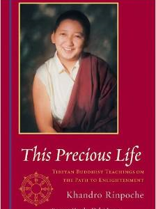 This Precious Life: Tibetan Buddhist Teachings on the Path to Enlightenment