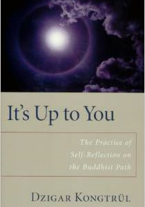 It's Up to You: The Practice of Self-Reflection on the Buddhist Path