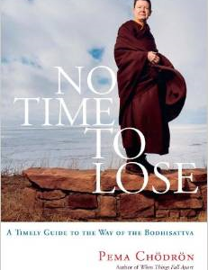 No Time to Lose: A Timely Guide to the Way of the Bodhisattva