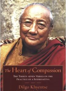 The Heart of Compassion: The Thirty-Seven Verses on the Practice of a Bodhisattva