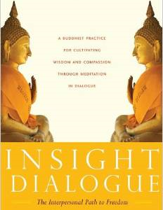 Insight Dialogue: The Interpersonal Path to Freedom