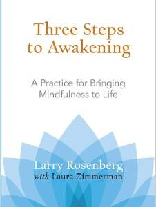 Three Steps to Awakening: A Practice for Bringing Mindfulness to Life