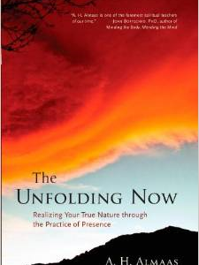 The Unfolding Now: Realizing Your True Nature Through the Practice of Presence