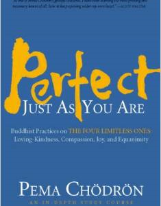 Perfect Just as You Are: Buddhist Practices on the Four Limitless Ones: Loving-Kindness, Compassion, Joy, and Equanimity