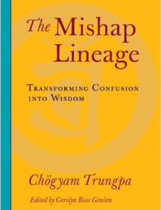 The Mishap Lineage: Transforming Confusion Into Wisdom