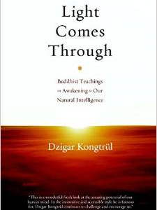 Light Comes Through: Buddhist Teachings on Awakening to Our Natural Intelligence