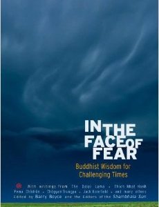 In the Face of Fear: Buddhist Wisdom for Challenging Times