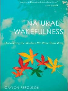 Natural Wakefulness: Discovering the Wisdom We Were Born with