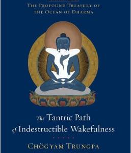 The Tantric Path of Indestructible Wakefulness