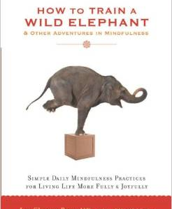 How to Train a Wild Elephant: And Other Adventures in Mindfulness