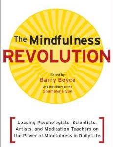 The Mindfulness Revolution: Leading Psychologists, Scientists, Artists, and Meditatiion Teachers on the Power of Mindfulness in Daily Life