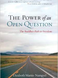 The Power of an Open Question: The Buddha's Path to Freedom