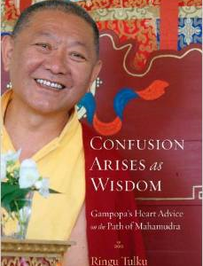 Confusion Arises as Wisdom: Gampopa's Heart Advice on the Path of Mahamudra