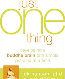 The Just One Thing: Effective Strategies to Get You Where You Need to Go