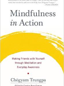 Mindfulness in Action: Making Friends with Yourself Through Meditation and Everyday Awareness