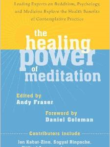 The Healing Power of Meditation: Leading Experts on Buddhism, Psychology, and Medicine Explore the Health Benefits of Contemplative Practice