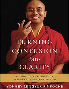 Turning Confusion Into Clarity: A Guide to the Foundation Practices of Tibetan Buddhism