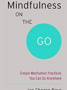 Mindfulness on the Go (Shambhala Pocket Classic): Simple Meditation Practices You Can Do Anywhere