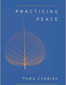 Practicing Peace (Shambhala Pocket Classic)