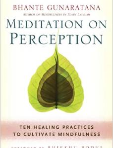 Meditation on Perception: Ten Healing Practices to Cultivate Mindfulness