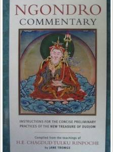 Ngondro Commentary: Instructions for the Concise Preliminary Practices of the New Treasure of Dudjom