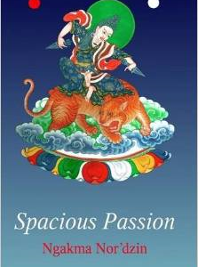 Spacious Passion [Paperback]