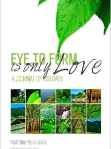 Eye to Form Is Only Love: A Journal of 100 Days