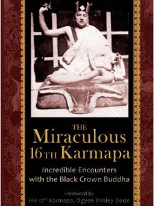 The Miraculous 16th Karmapa