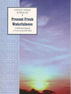 Present Fresh Wakefulness: A Meditation Manual on Nonconceptual Wisdom