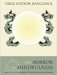 The Mirror of Mindfulness